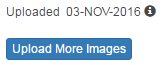 upload-more-images-button