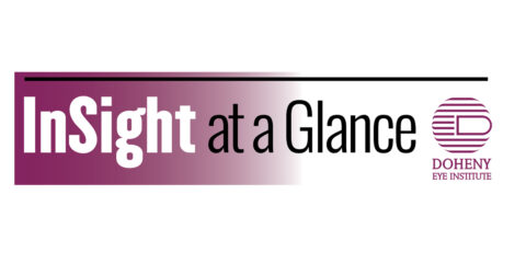 InSight at a Glance | November 2023