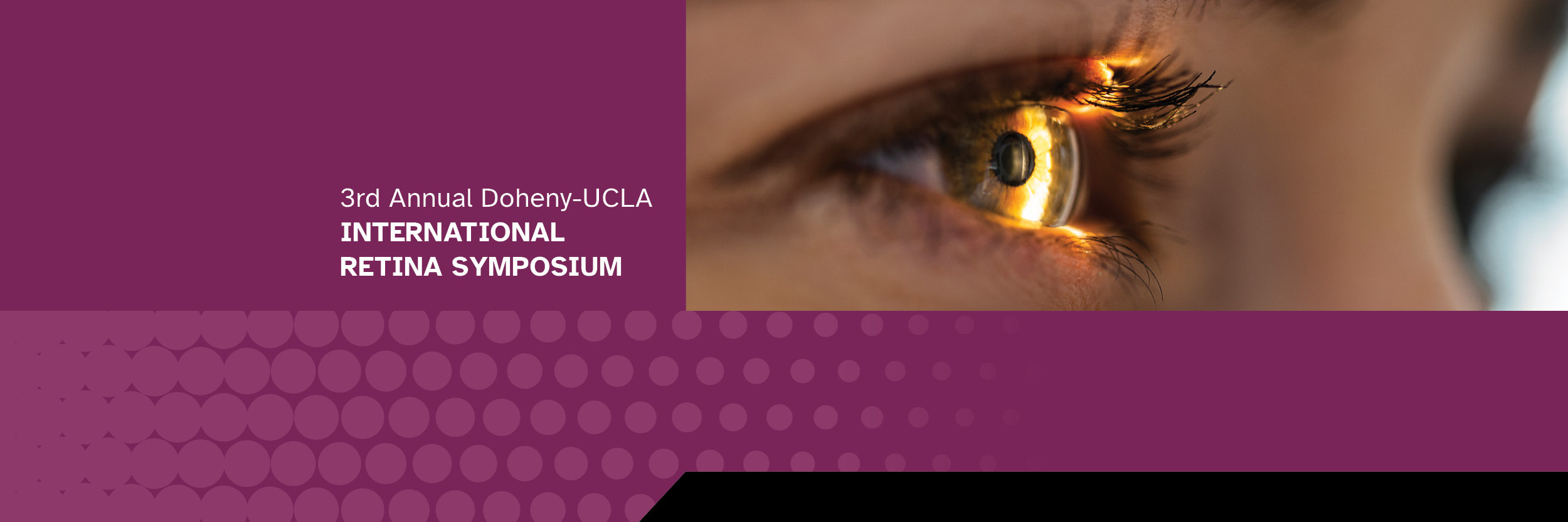 Doheny-UCLA International Retina Symposium